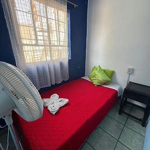Budget Single Room
